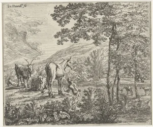 Paesaggio con un mulo e capre
