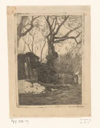 Alberi e fascine vicino a una recinzione