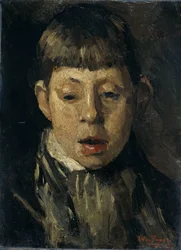 Testa di ragazzo