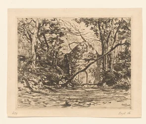 Rovina in un bosco