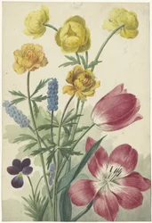 Bouquet di tulipani, violette, muscari e ranuncoli