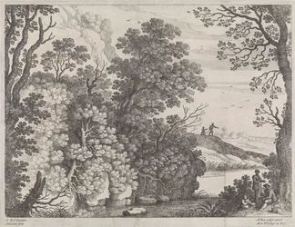 Paesaggio boschivo