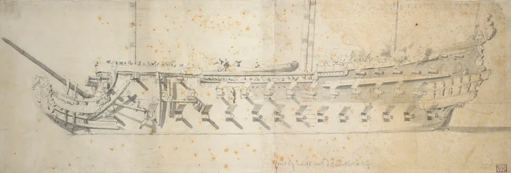 Ritratto della 