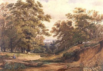 Scena in Bagley Wood vicino a Oxford