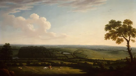 Ampio paesaggio boscoso con vista lontana di una città