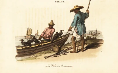 Pescatori cinesi e i loro cormorani