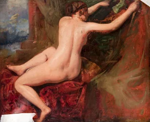 Nudo femminile