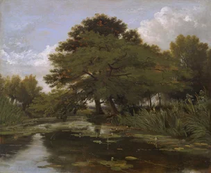 Sul fiume Isis, Waterperry, Oxfordshire