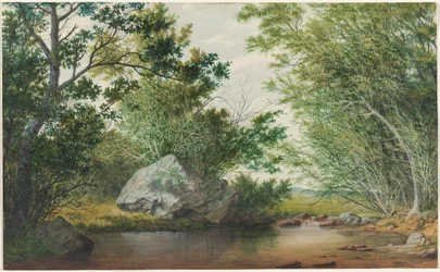 Paesaggio con ruscello boscoso e masso