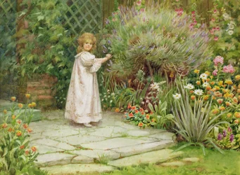 Il mio giardino
