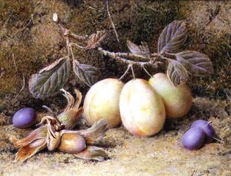 Natura morta con prugne e noci