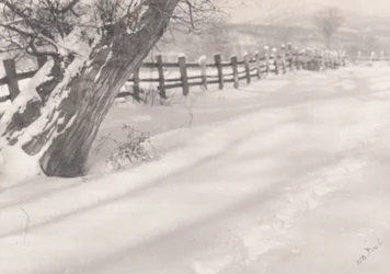 Sentiero nella neve
