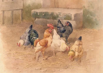 Polli