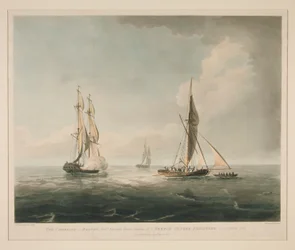 Il Cambriano di Boston