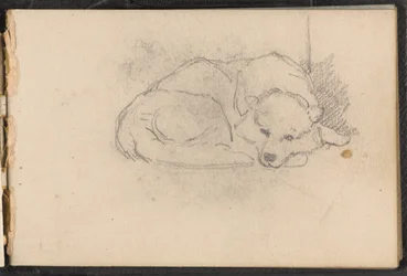 Schizzo di un cane che dorme