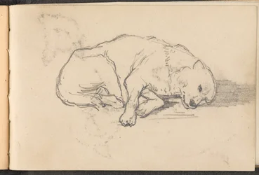 Schizzo di un cane che dorme