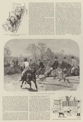 La caccia di Grafton