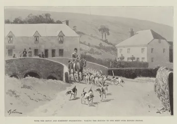 Con i Cani da Caccia del Devon e Somerset, portando i Cani all