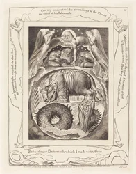 Behemoth e Leviathan