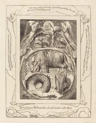 Behemoth e Leviatano