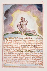 Ho sempre trovato che gli angeli abbiano..., illustrazione e testo da 