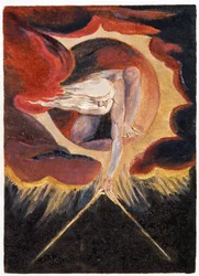 Illustrazione da 
