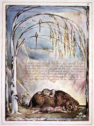 "In tuoni finisce la voce", tavola 7 da 