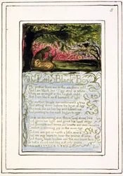 P.124-1950.pt8 Il ragazzino nero: lastra 8 da Songs of Innocence and of Experience (copia R) c.1802-08 (acquaforte, inchiostro e acquerello)