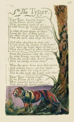 Poesia intitolata "La tigre" scritta da William Blake