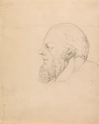 Socrate, una testa visionaria