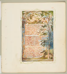 Canzoni dell