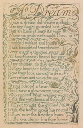 Canzoni dell