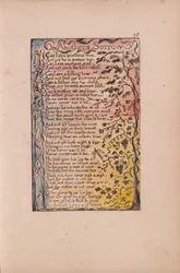 Canzoni dell
