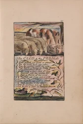 Canzoni dell