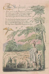 Canzoni dell
