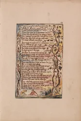 Canzoni dell