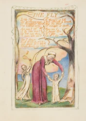 Canzoni dell