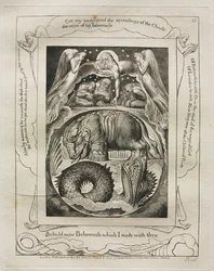 Il Libro di Giobbe: Tav. 15, Ecco ora Behemoth che ho fatto con te