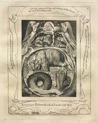 Il Libro di Giobbe: Tav. 15, Ecco ora Behemoth che ho fatto con te
