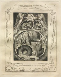 Il Libro di Giobbe: Pl. 15, Ecco ora Behemoth che ho fatto con te