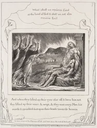 Il libro di Giobbe: Pl. 7, E quando alzarono gli occhi