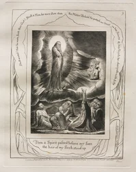 Il Libro di Giobbe: Tav. 9, Allora uno spirito passò davanti al mio volto / i peli della mia carne si rizzarono
