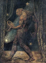 Il Fantasma di una Pulce