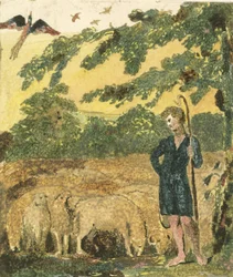 Il pastore, da 