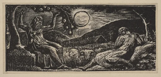 Thenot sotto un albero da frutto, dai Pastorali di Virgilio di Thornton
