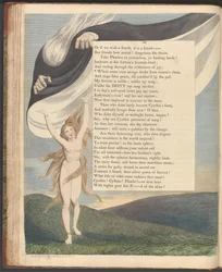 Pensieri notturni di Young, pagina 46, "Dove il senso corre selvaggio liberato dalla catena della ragione"