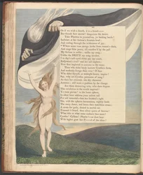 Pensieri Notturni di Young, Pagina 46, Dove il senso corre selvaggio sfuggito dalla catena della ragione