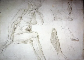 Studi di nudo maschile