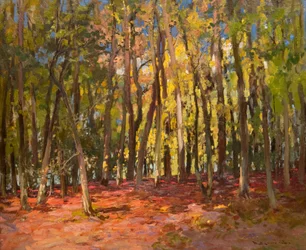 Il bosco delle streghe