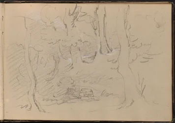 Schizzo di un Gruppo di Alberi